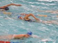 /album/galleria-foto%3a-trofeo-%22citt%c3%a0-di-pontedera/pontedera078-jpg/